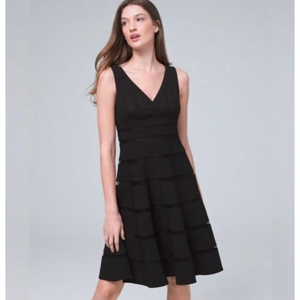 WHBM black Shadowstripe sheer insert fit & flare v-neck party LBD dress womens 4